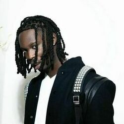Picture of Yungpalo