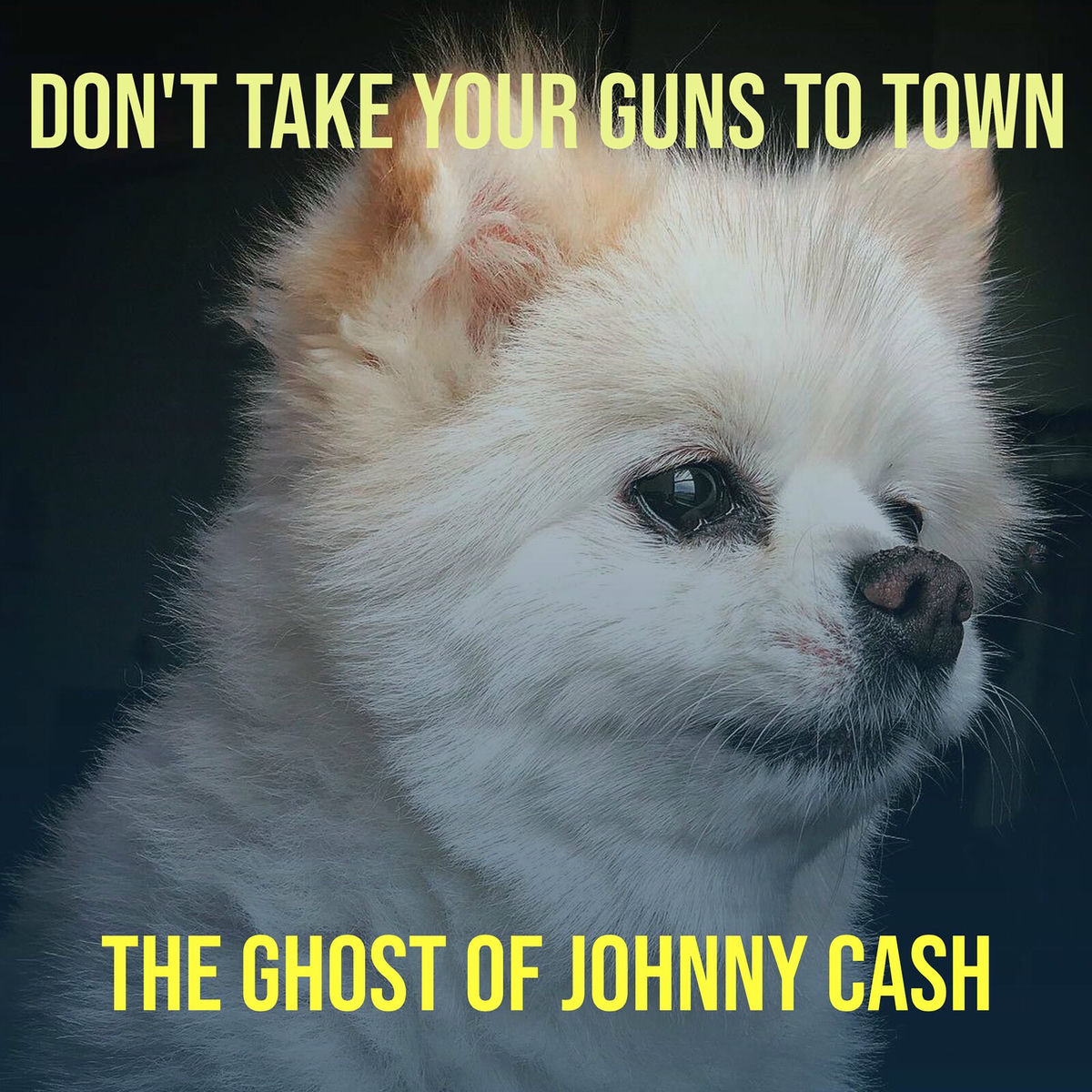 Artist picture of The Ghost of Johnny Cash