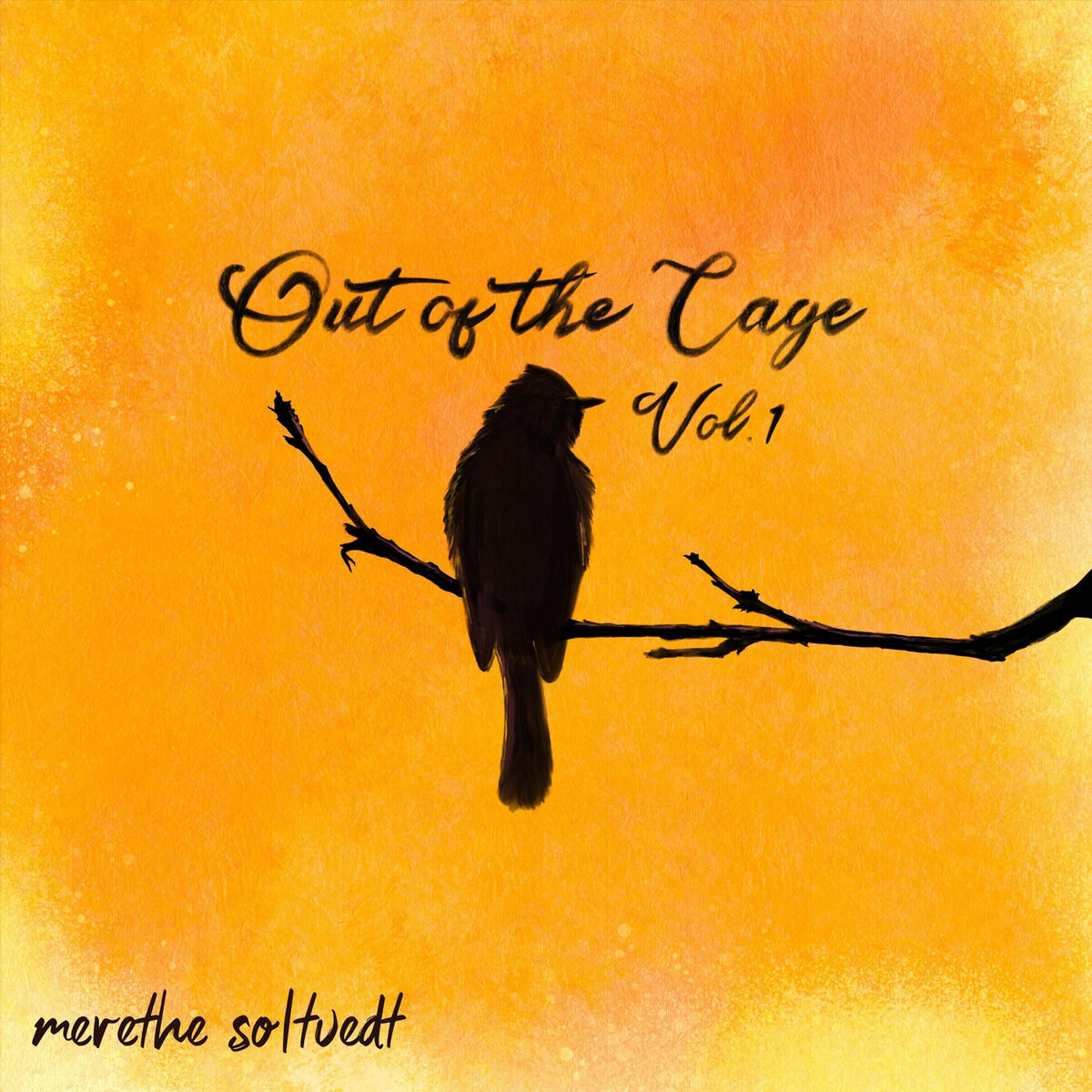 Merethe Soltvedt