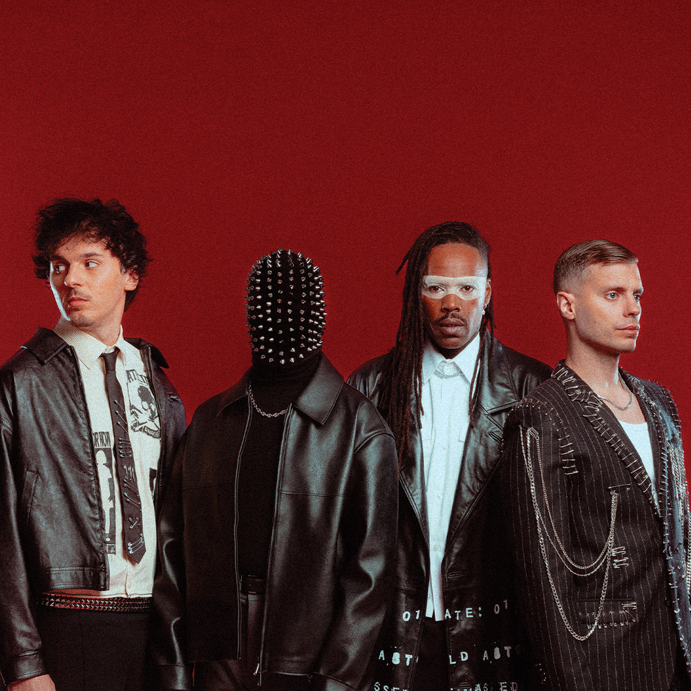 Photo de l'artiste Skip the Use