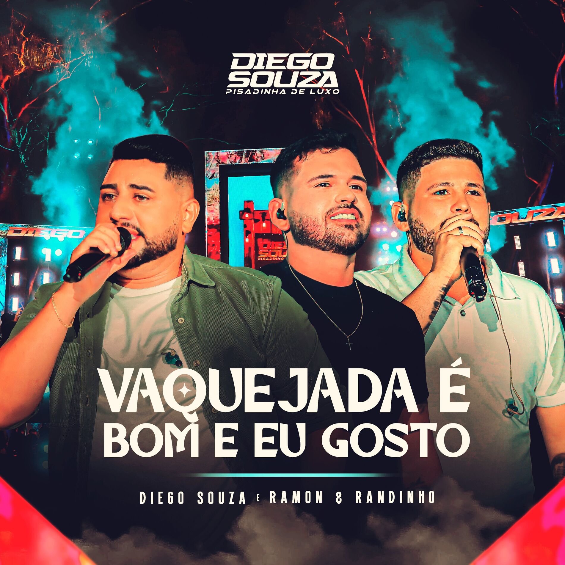 Diego Souza Pisadinha de Luxo