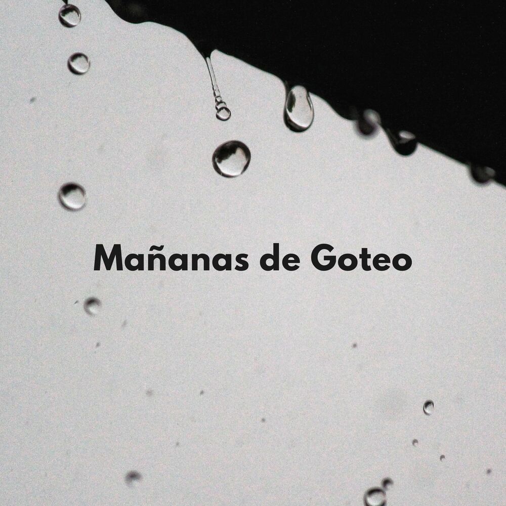 Picture of El poder de la lluvia