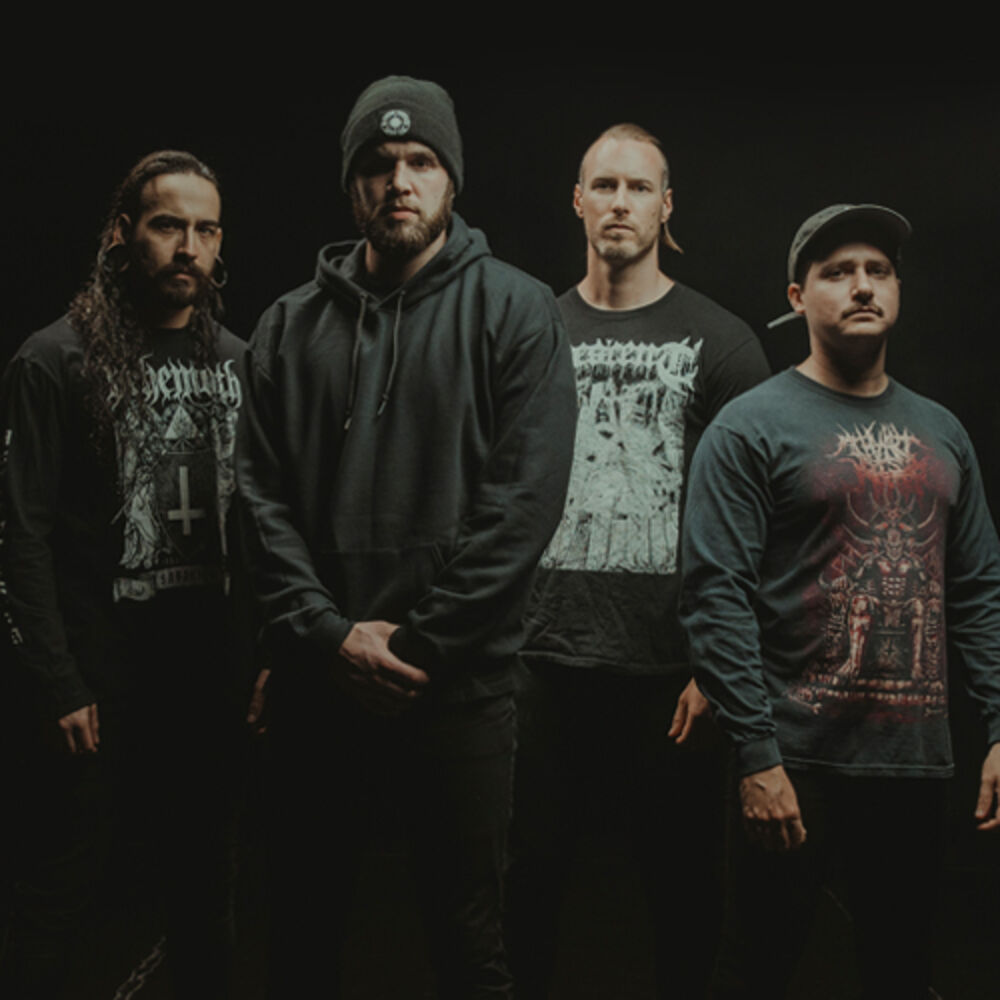 Picture of Aversions Crown