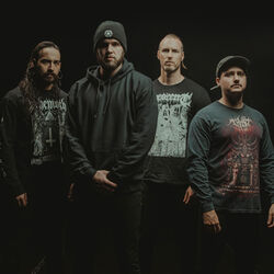 Picture of Aversions Crown