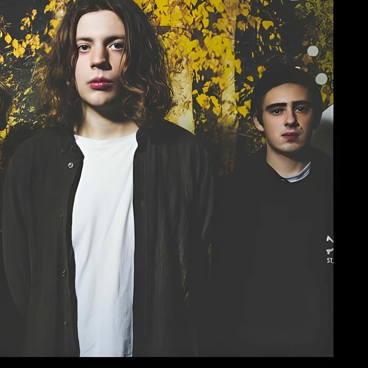 VANT