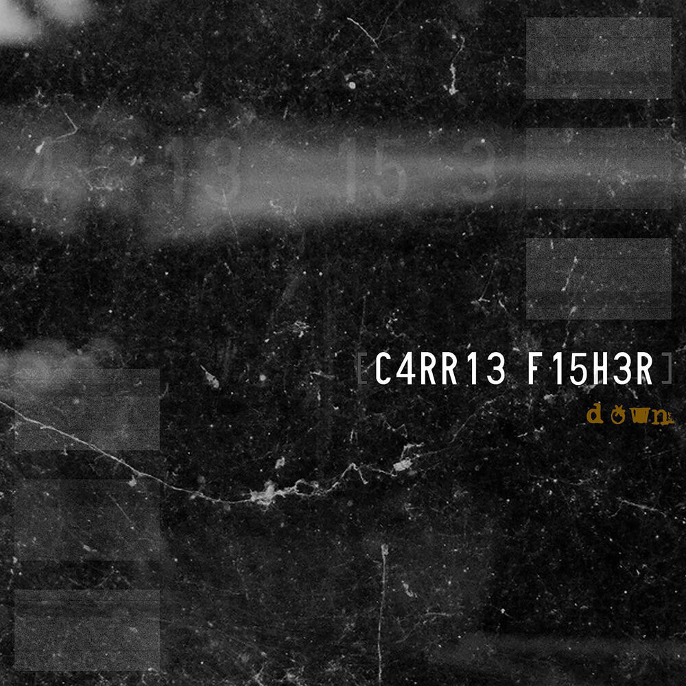Picture of C4RR13 F15H3R
