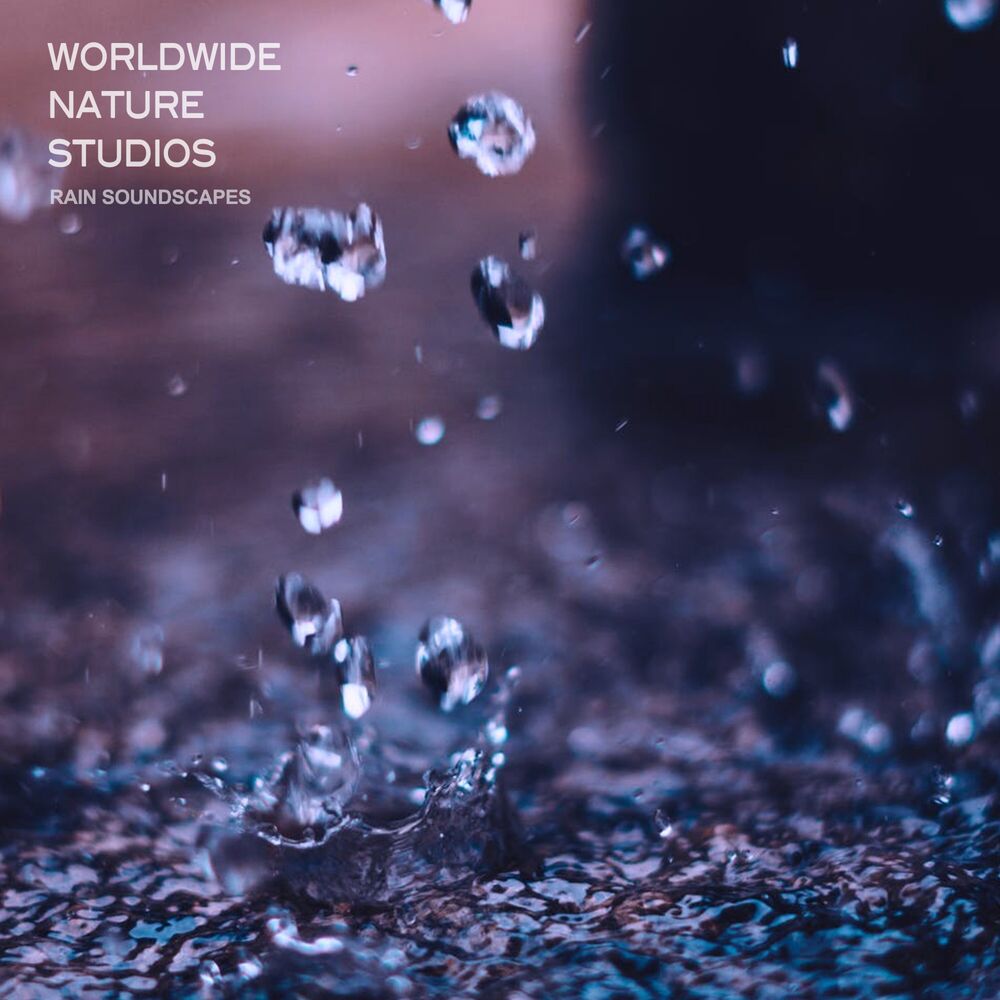 Picture of Worldwide Nature Studios