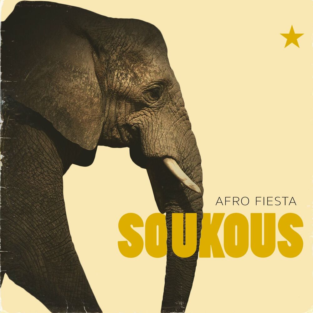 Picture of Afro Fiesta