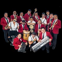 Picture of Grupo Melao Internacional