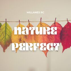 Picture of Millanes RC