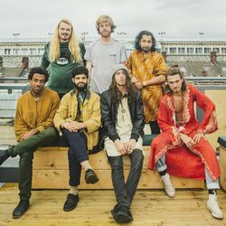 Picture of Flamingods