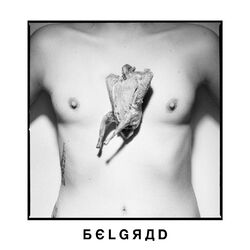 Picture of Belgrad