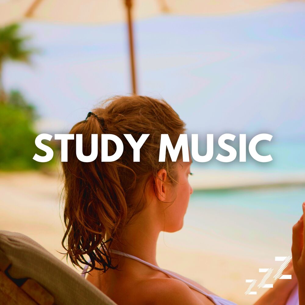 Picture of Focus Music