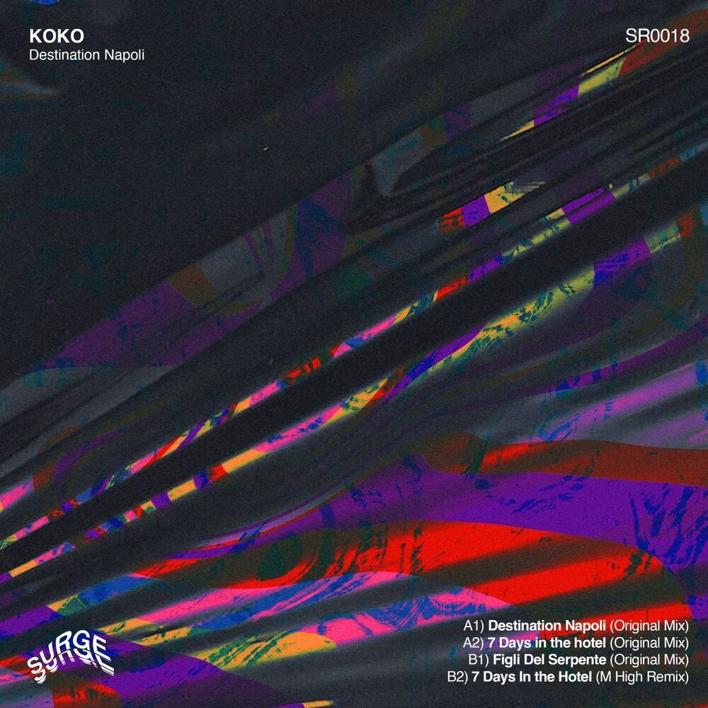 Picture of KOKO.IT