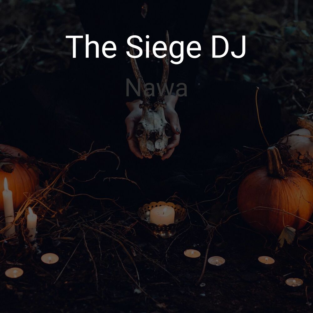 Picture of The Siege DJ