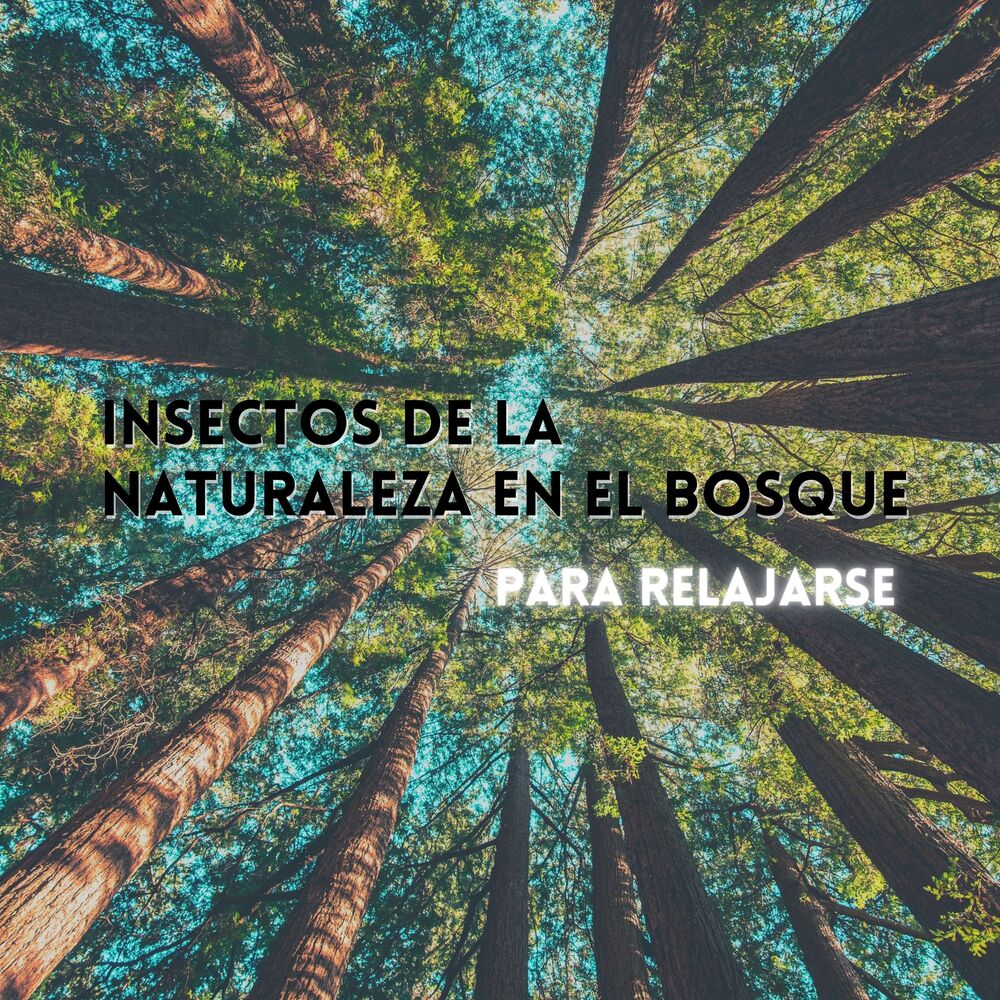 Picture of Bosque Tropical