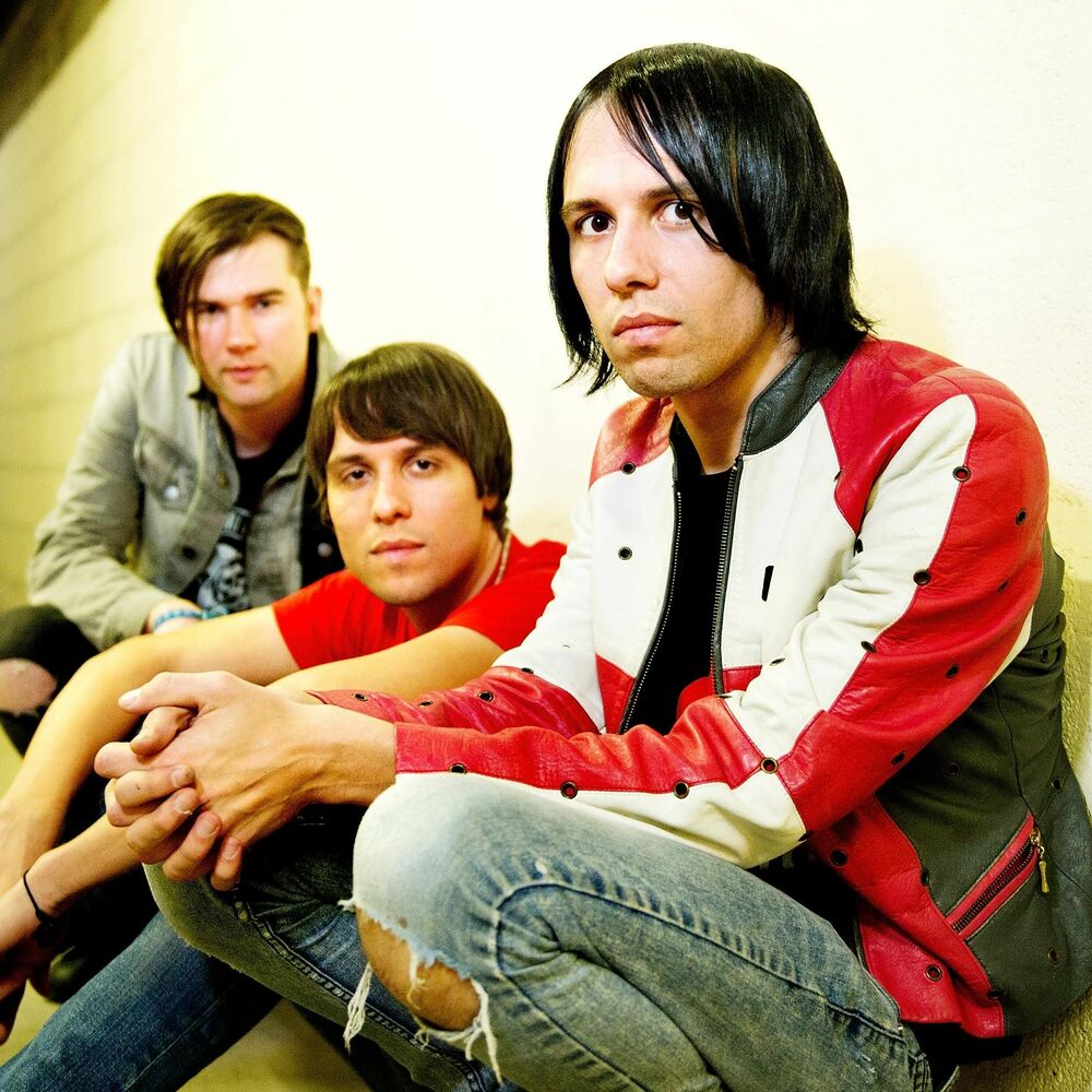 Picture of The Cribs