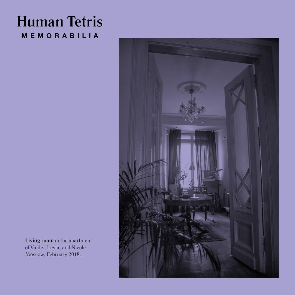 Picture of Human Tetris