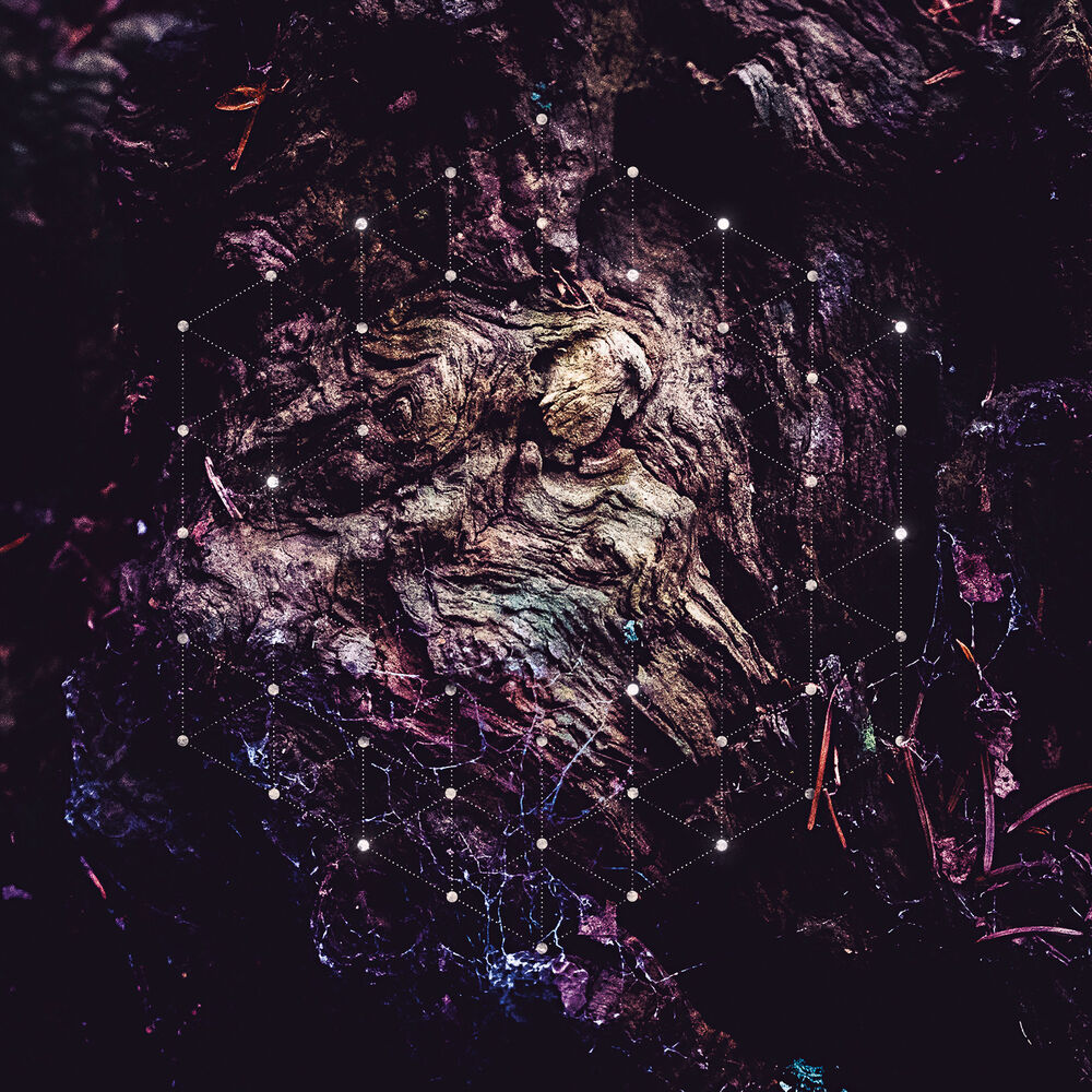 Picture of Psychonaut