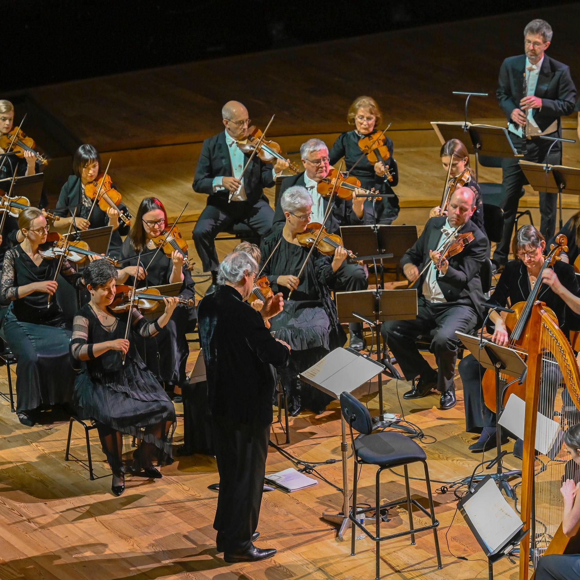 Artist picture of English Baroque Soloists