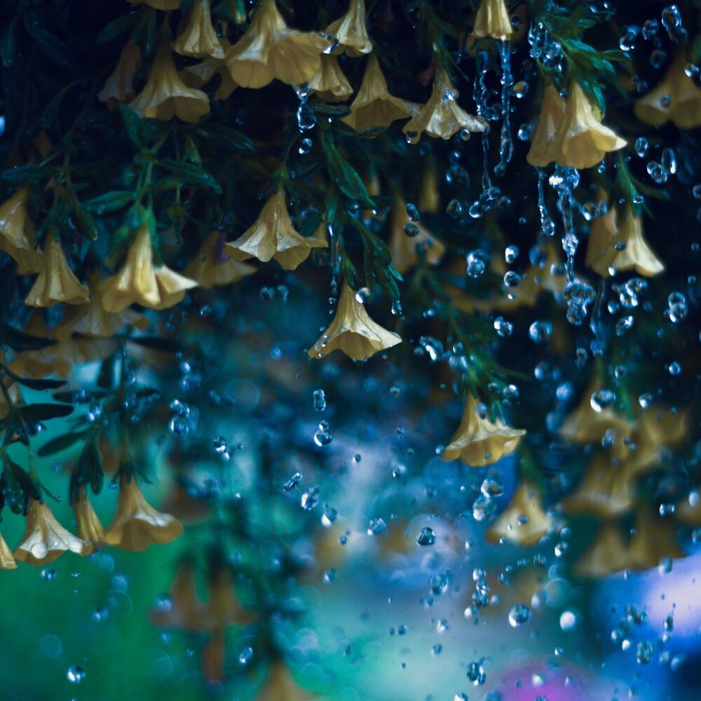 Picture of Rainfall Sound for Sleep