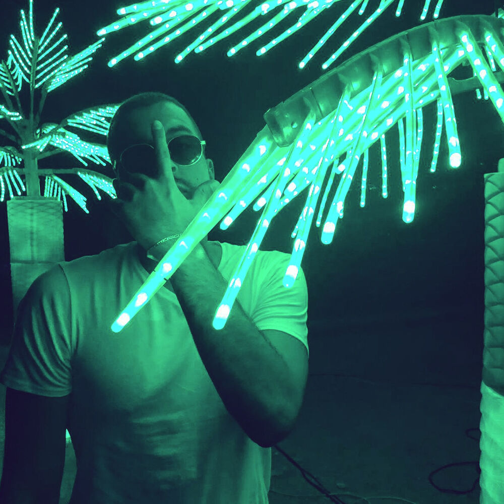 Picture of DJ Link