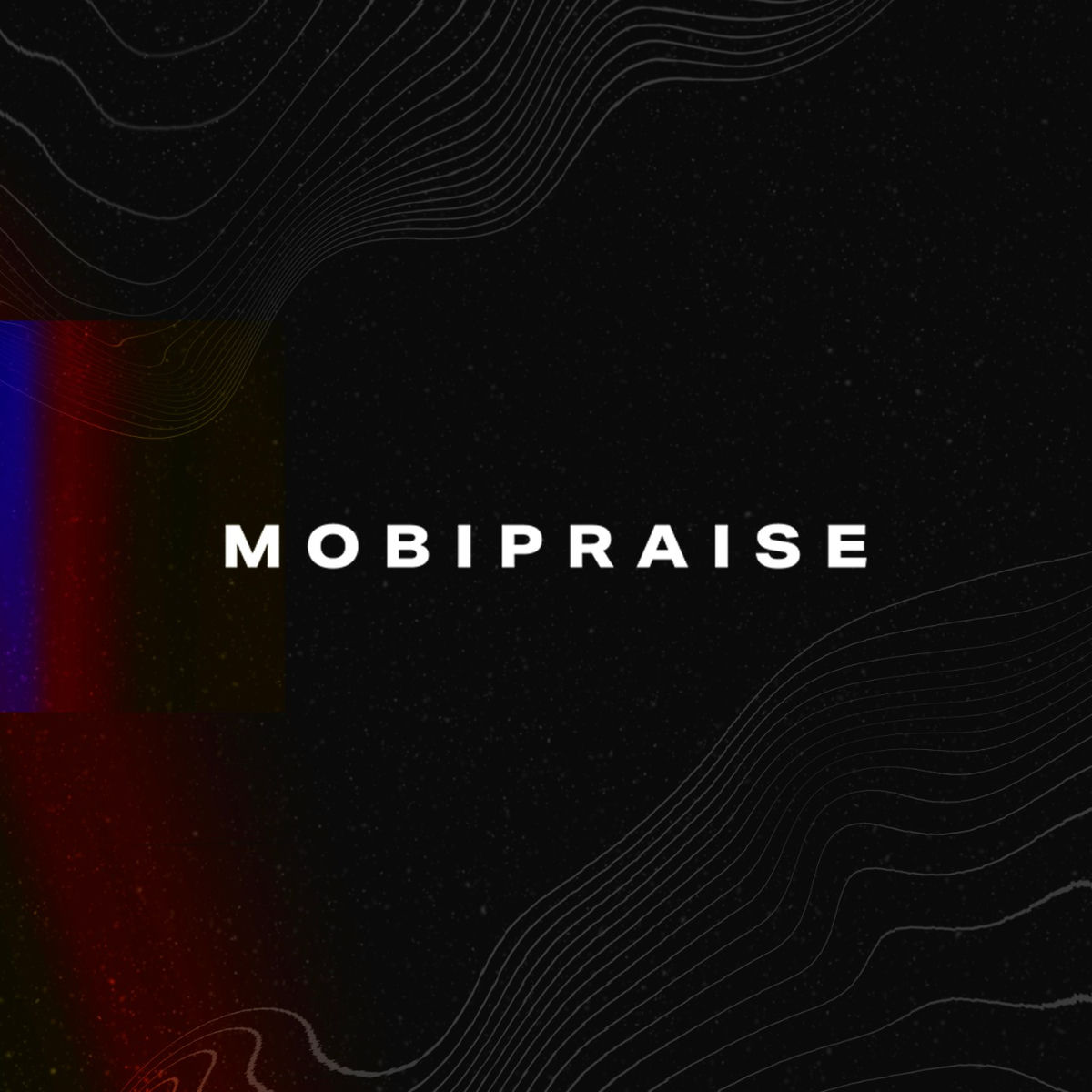 Artist picture of Mobipraise