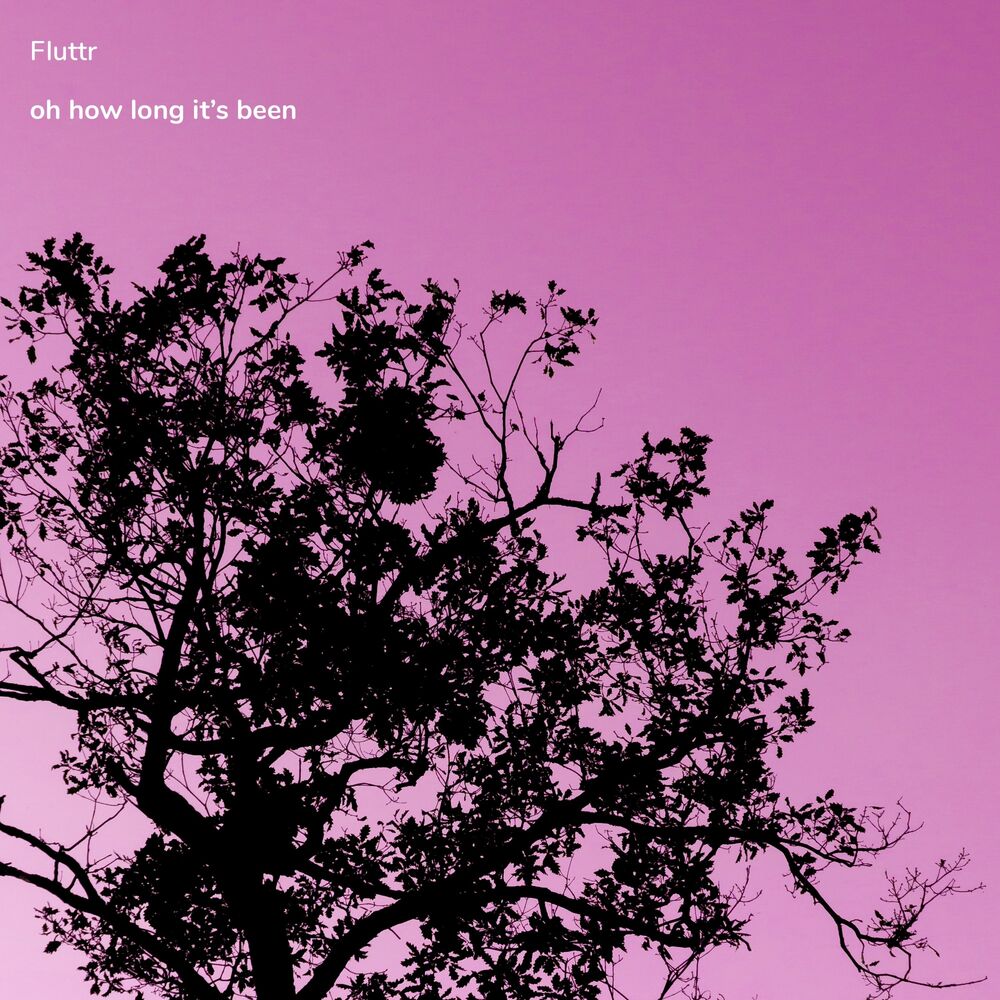 Picture of Fluttr