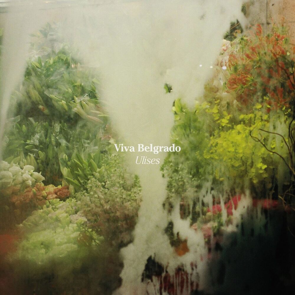 Picture of Viva Belgrado