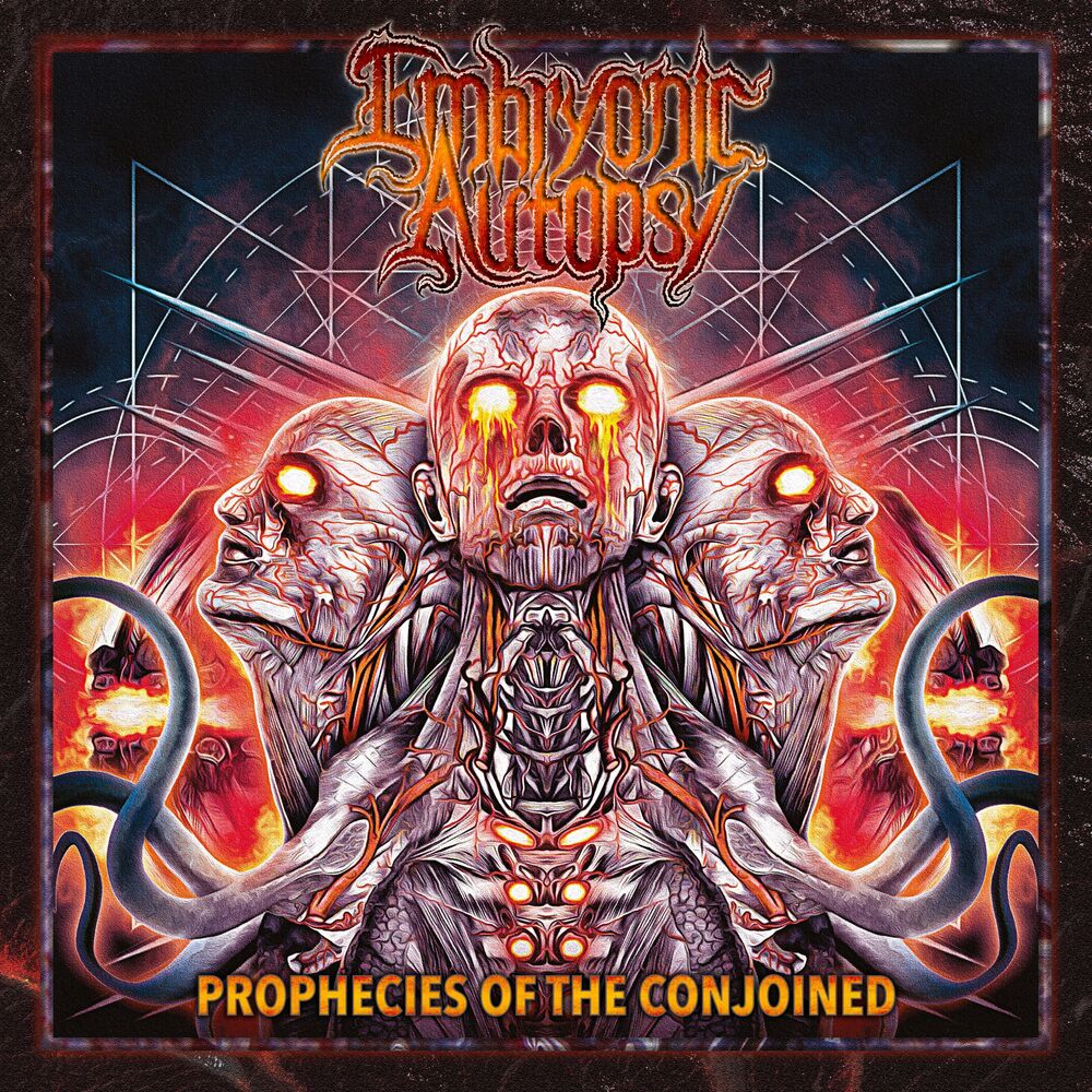 Picture of Embryonic Autopsy