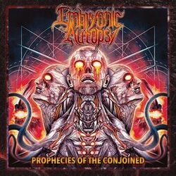 Picture of Embryonic Autopsy