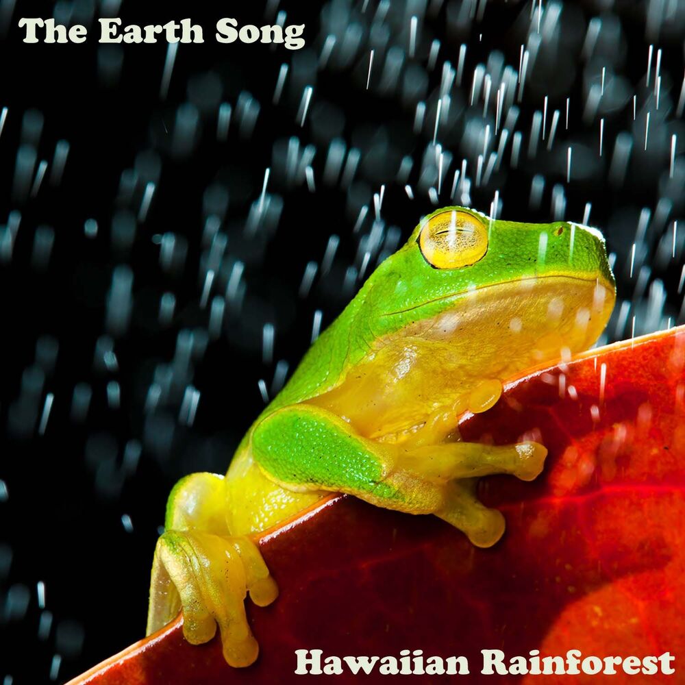 Picture of The Earth Song