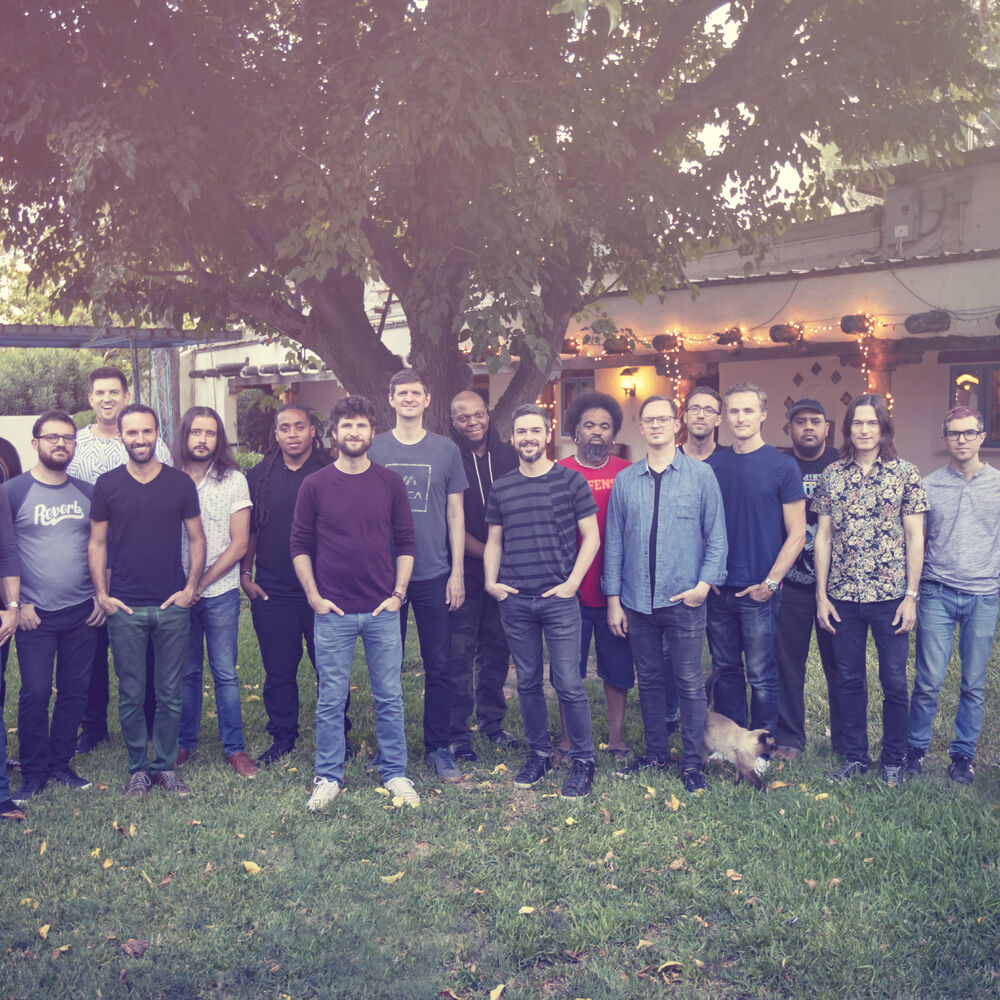 Picture of Snarky Puppy