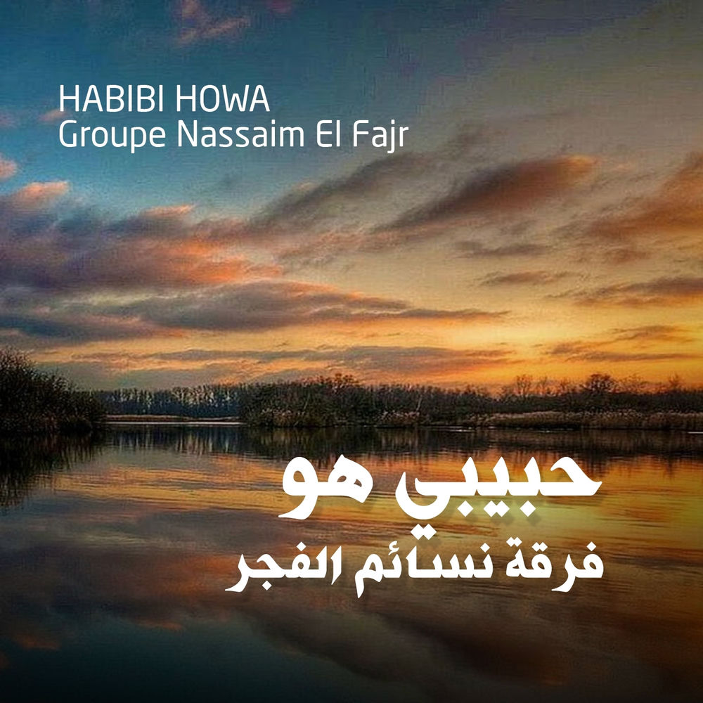 Photo de l'artiste Hanini