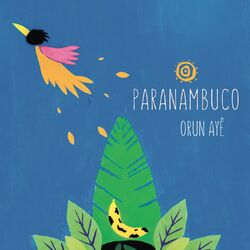 Picture of Paranambuco