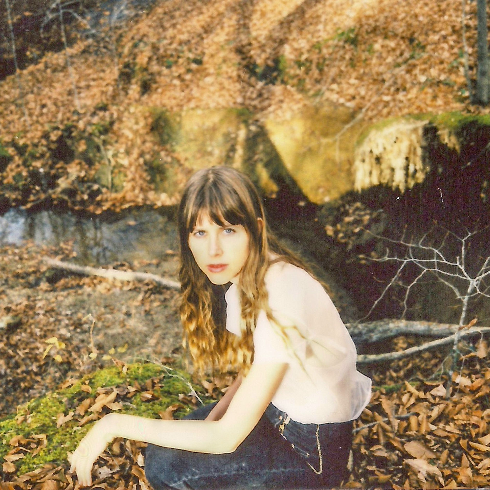 Artist picture of Lael Neale