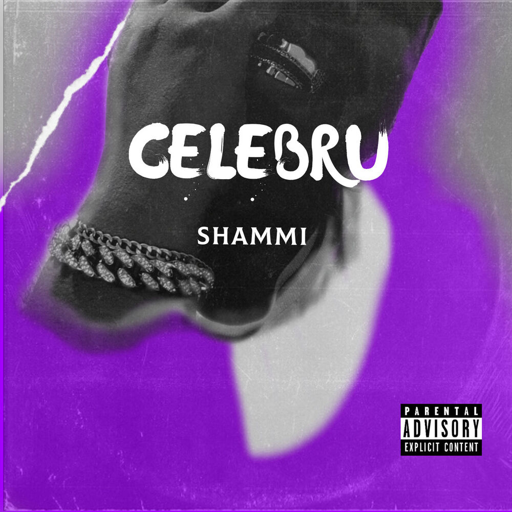 Picture of Shammi