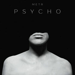 Picture of metr