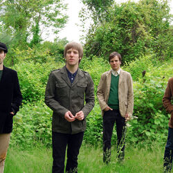 Picture of The Black Hollies