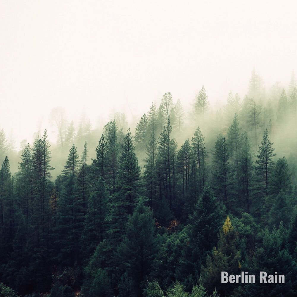 Picture of Berlin Rain