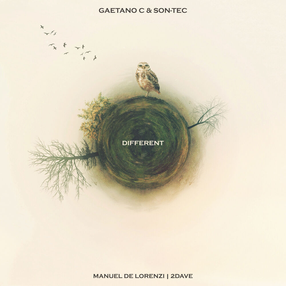 Picture of Gaetano C & Son-Tec