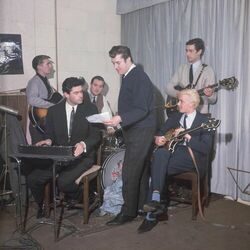 Picture of The Tornados