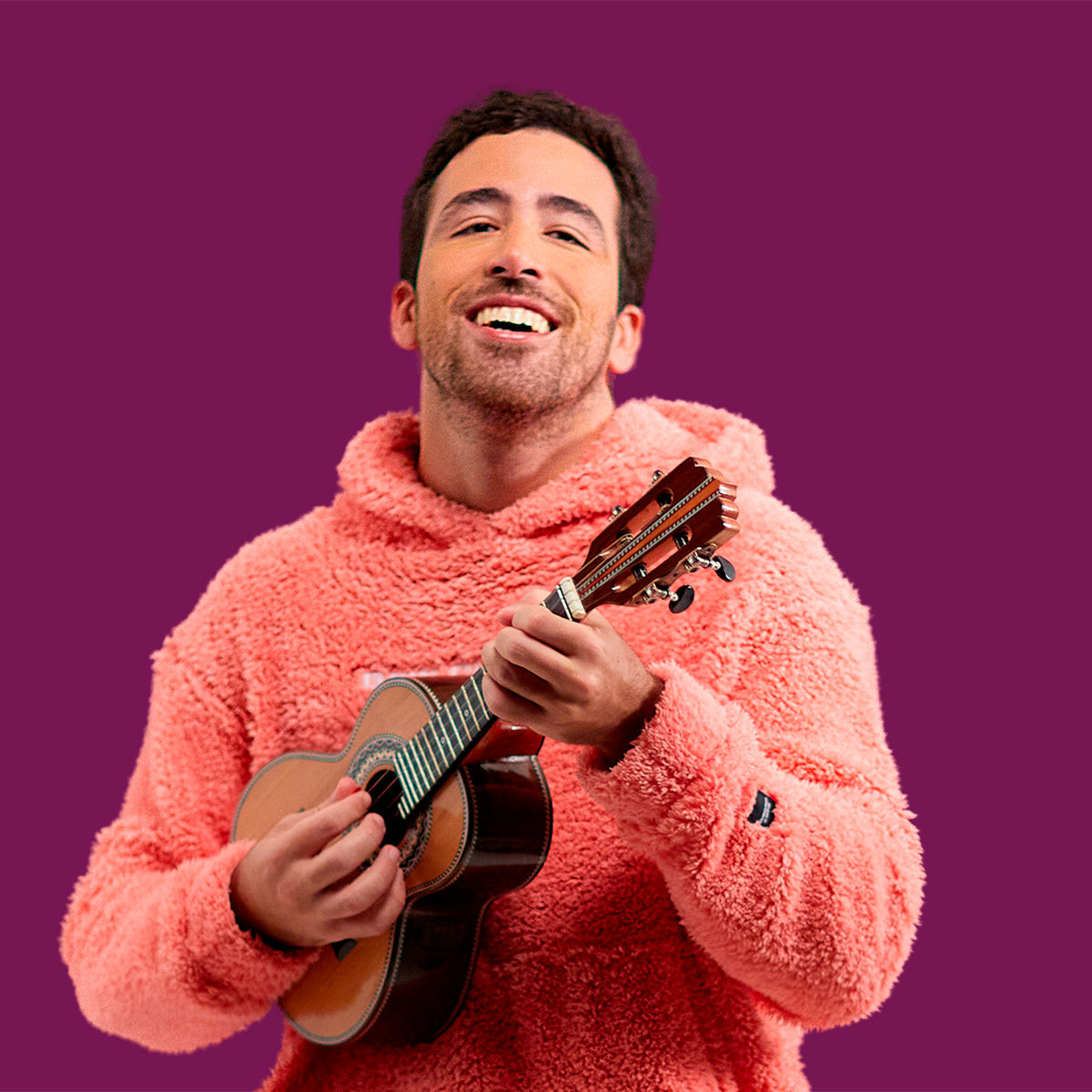 Artist picture of Julio Secchin