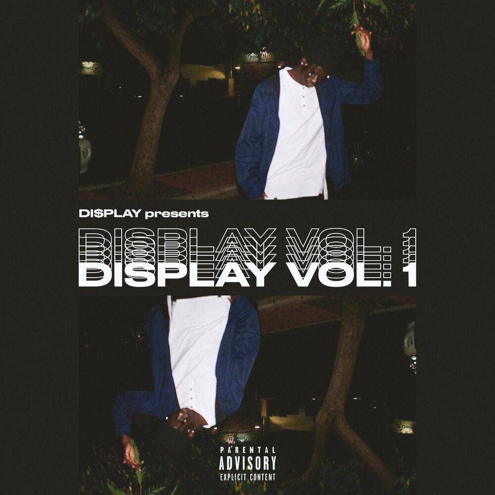 Picture of DI$play