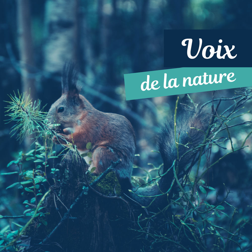 NatureQuest