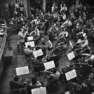New Philharmonia Orchestra
