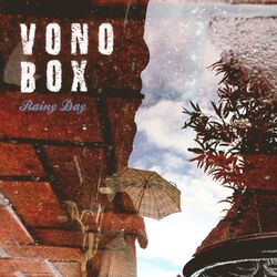 Picture of Vono Box