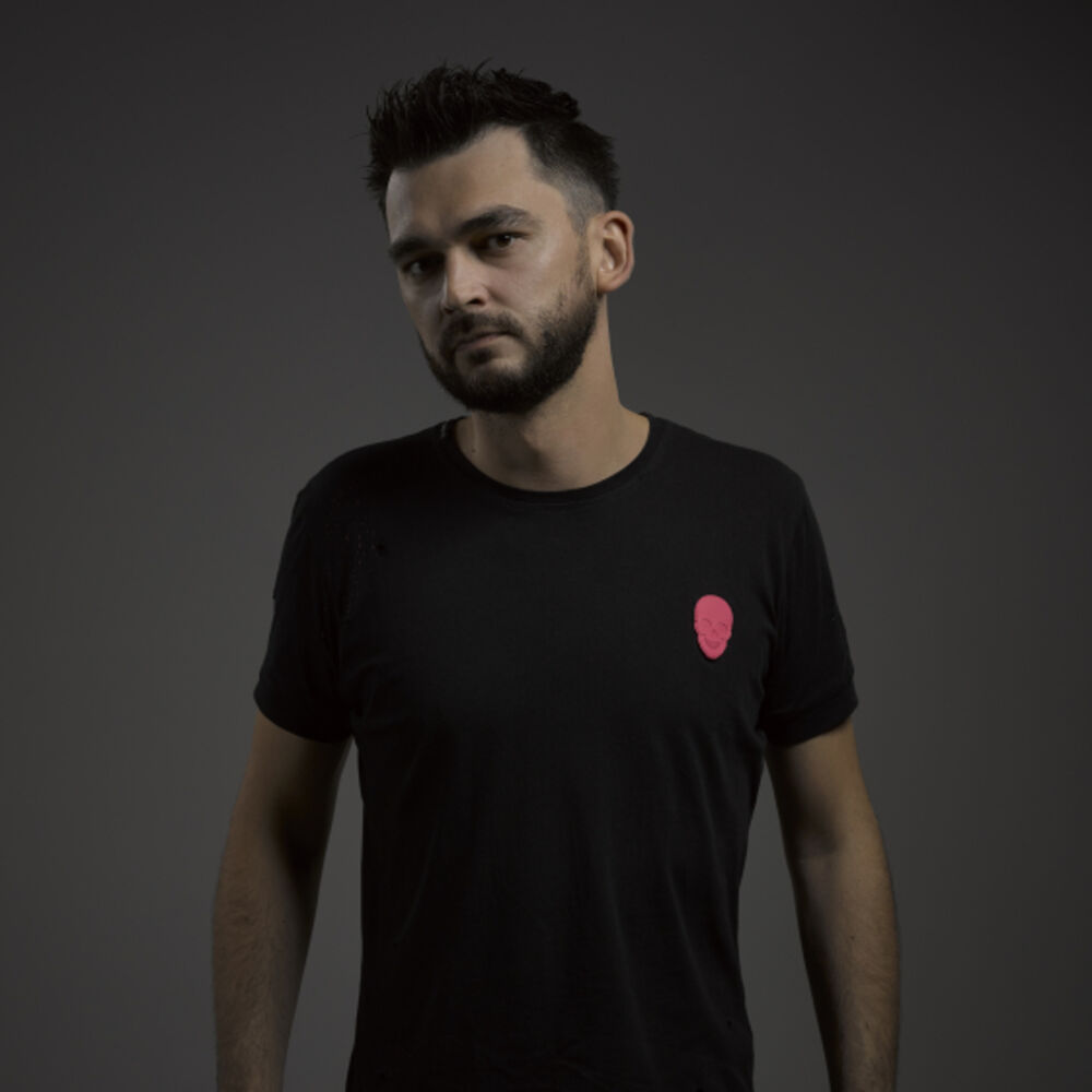 Picture of Crypsis
