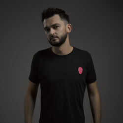 Picture of Crypsis