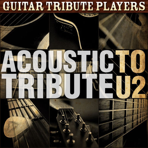 Guitar Tribute Players